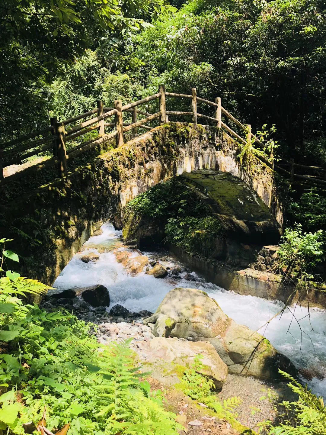 冰火人魔法森林大冒险2